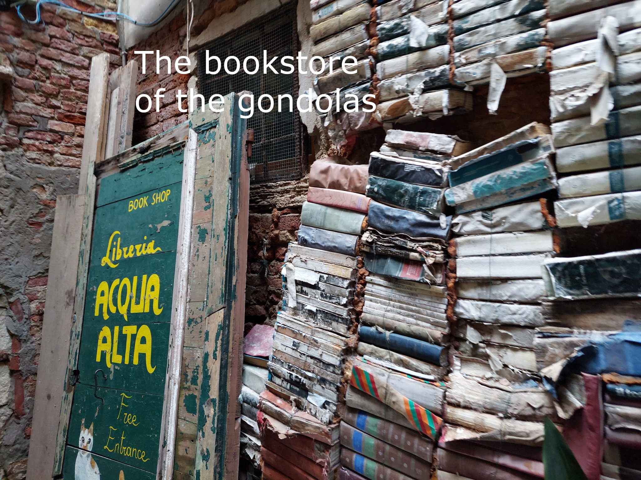 Libreria Acqua Alta, Venice, Italy