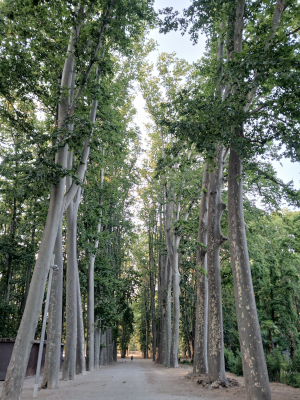 Devesa park Girona