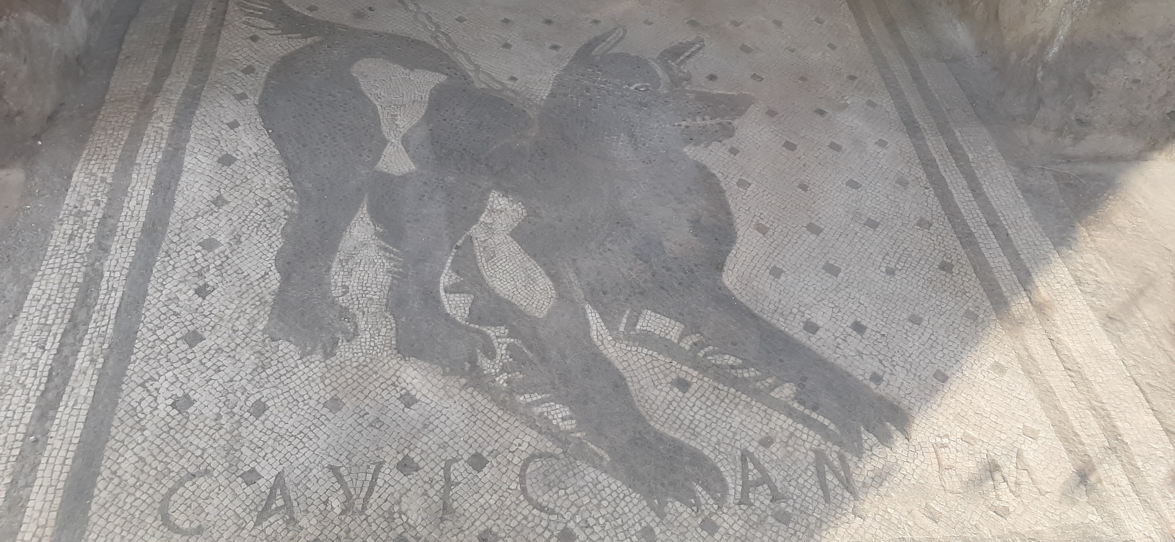 Cave canem kutya mozaik Pompeii Olaszország