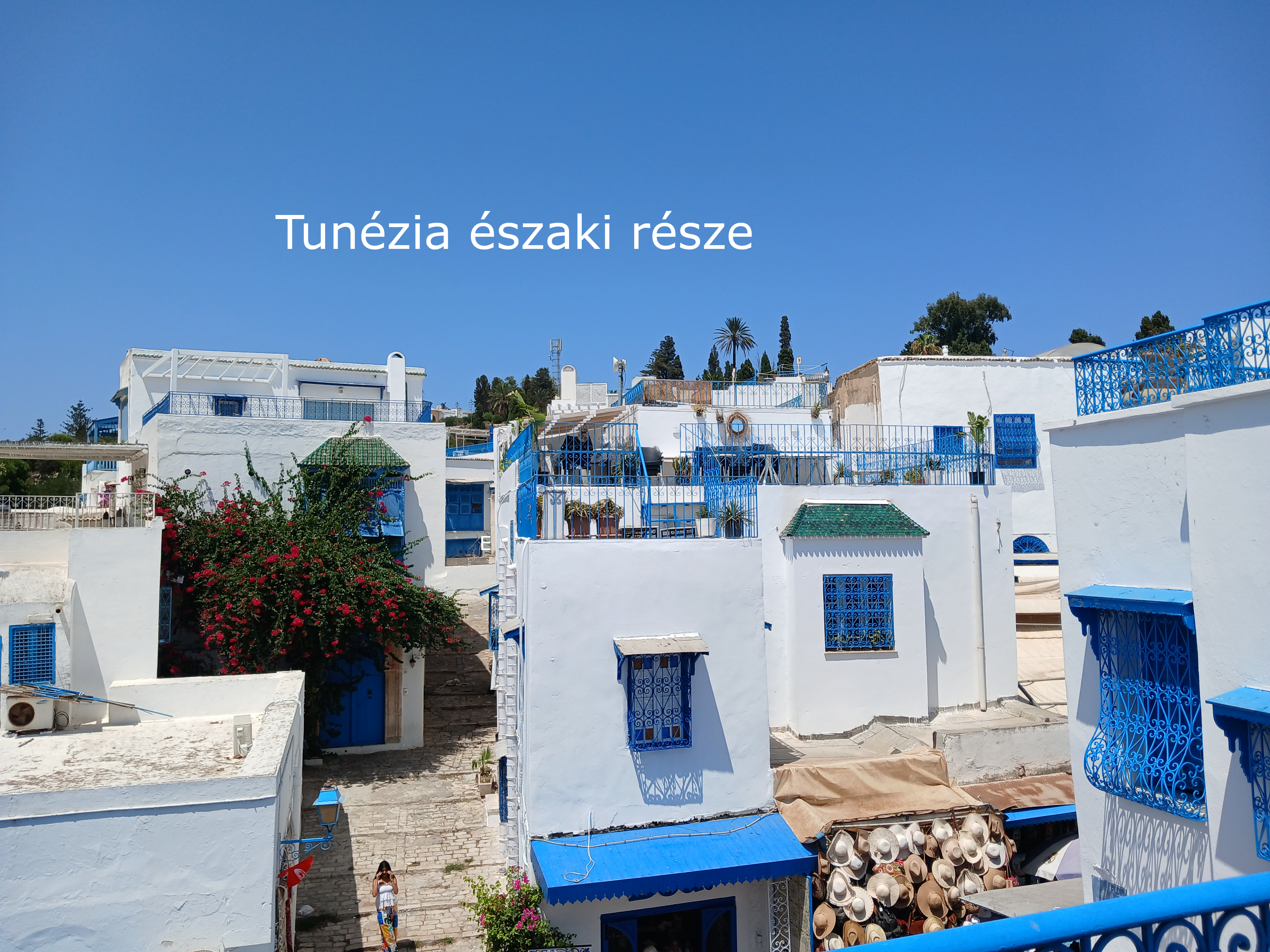 Tunézia, Sidi Bou Said, utazás