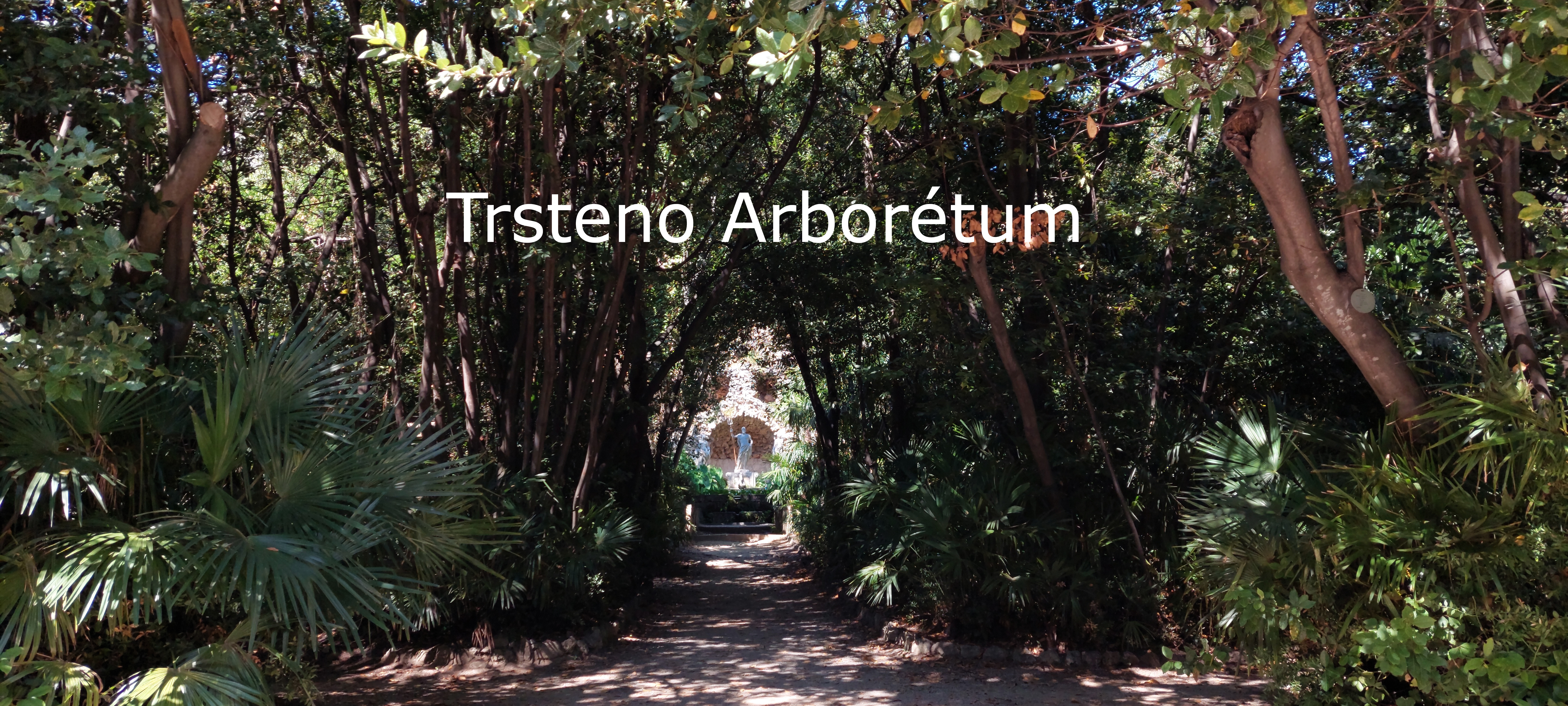 Trsteno Arborétum; ; aleppói fenyő; Odüsszeusz-barlang; Horvátország